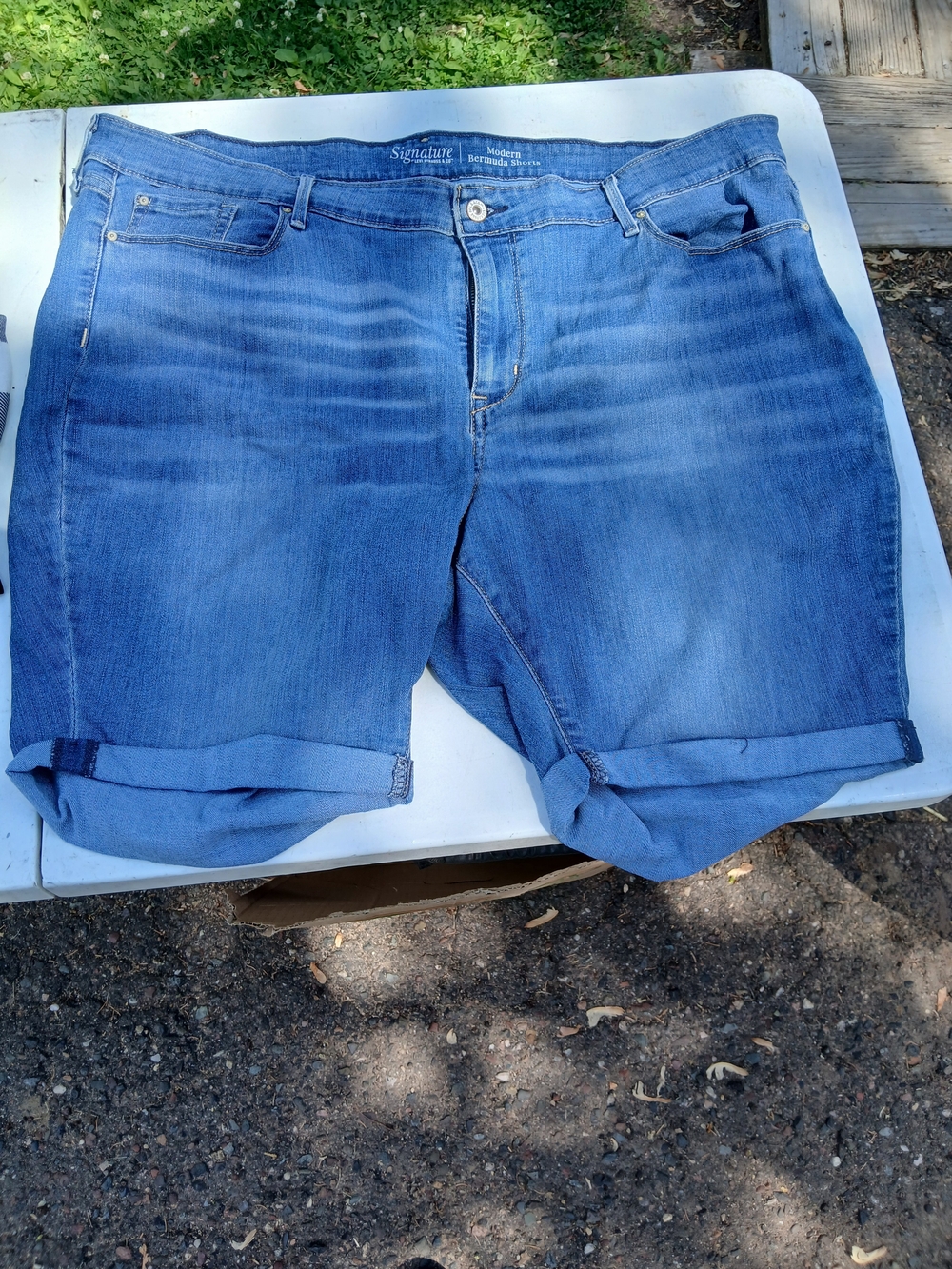 Plus Size 22 Signature by Levi Strauss Modern Bermuda Shorts in Mid Blue